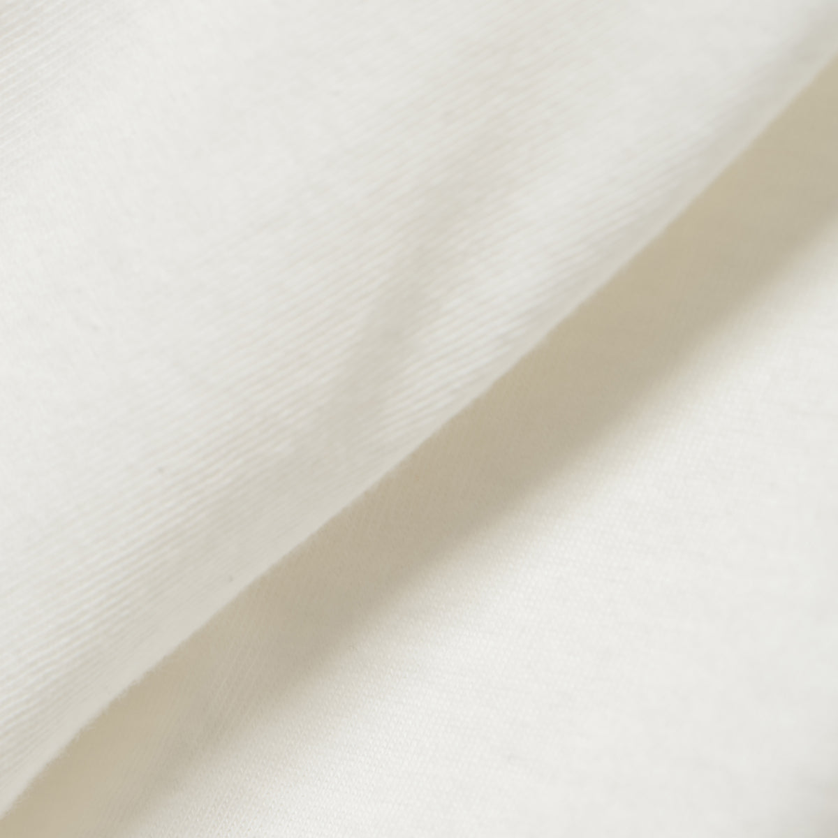 27SS "INSECT" T-SHIRTS (WHITE)